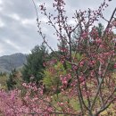 구미컨트리클럽(대중9홀) | 구미가산cc라운딩후기