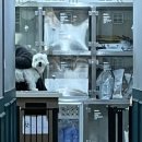 강남다온동물병원 이미지