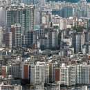 안나파크 Daum카페
