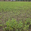 안성시현곡보건진료소 이미지