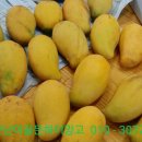 (주)골든하이 이미지