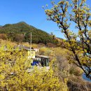 산동면사무소 이미지