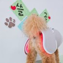 차차네 유치원 이미지