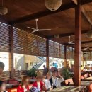 인싸피시 이미지