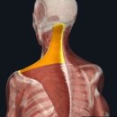 상부상회 이미지