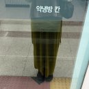 강진시장 | 가락수산 시장 꽃게회동 🦀 (강진수산,초장집 부안상회 추천 후기)