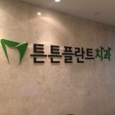 튼튼플란트치과