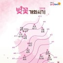 조아이랜드