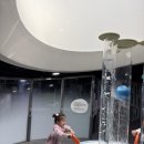 소매나라 | 서울상상나라 물체험 후기 | 5세 아이가 너무 좋아한 어린이 실내 체험