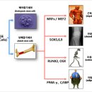 제노시스바이오연구소 - 서초구 반포대로39길 56-24 | 제노시스바이오연구소