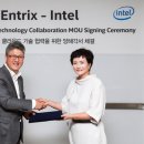 엔트 이미지