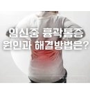 전북대학교 보건대학원 | 임신 중 흉곽통증, 원인과 해결방법은?
