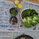 우신랑돈각시 Daum카페