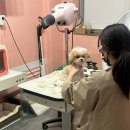 살롱드몽몽 이미지