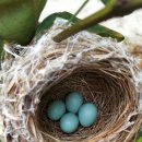 뚜비농장 이미지