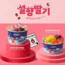 요거트월드 이미지