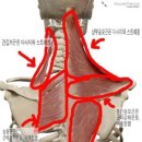 이룸 피티 존 이미지