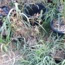 실상농장 이미지