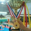 고려K타이거즈 이미지