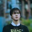 파파 JTBC