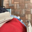 UR(포항시)-[중앙로]-하-12 | 10/15-10/18 경주/포항 :: 스펙타클 내 인생 버저비터의 연속