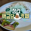 서정케이크 | 인천 청라 디저트 백금당 따뜻하고 부드러운 케이크 대만족 후기