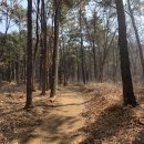 기와집전주콩나물국밥 이미지