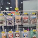 디어마이펫 이미지