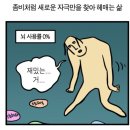 로젯런던베이글
