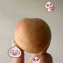 엄마가 웃었습니다 | 대극천 복숭아 후기｜딱복파는 재구매, 물복파 엄마는 “무 맛”이라던 솔직 내돈내산