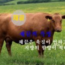 으뜸목장 이미지