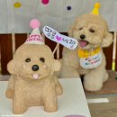 댕댕잇 | 서면 강아지 케이크 댕댕잇 커스텀 케이크로 생일파티했어요