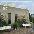 오르칼국수