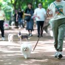 운정W동물병원 이미지