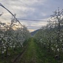 등구농장 이미지