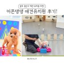 커몬댕댕 광주애견유치원&애견호텔 이미지