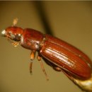 대구방역 이미지