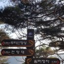 화평주유소 이미지
