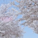 뷰티송