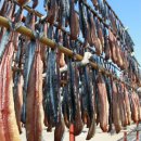 영덕청어과메기영어조합 이미지