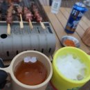 반딧불캠핑장 | 용인 반딧불캠핑장 벚꽃캠핑 후기 (애견동반 가능)