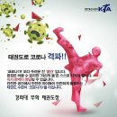 경희대sky태권도장 이미지