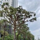 명품센트럴자이공인중개사사무소 이미지