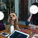 살롱드 봉 - 노원구 | 살롱드 봉