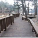 (주)초당산업 - 729 | (주)초당산업