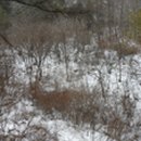 팔괴로2 이미지