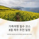 남원읍-76 | 가족여행 필수 코스, 3월 제주 추천 일정