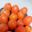 자매여인숙 이미지