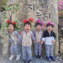 증산초교병설유치원 이미지