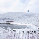 숲속쉼터 이미지